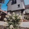 Отель Apartamenty Centrum Park в Зелёна-Гуре
