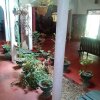 Отель Sigiriya Green Garden Homestay, фото 20