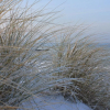 Отель Appartmentanlage Zur Düne, фото 6