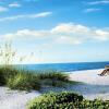 Отель Sanibel Island Beach Resort, фото 19