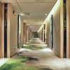 Отель Sun Grow Green Hotel (Qidong Chengxi), фото 3