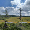 Отель Holiday Hill 9773, фото 30