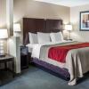 Отель Holiday Inn Express Columbus Downtown, an IHG Hotel, фото 5