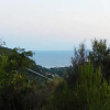 Отель La gatta del cilento, фото 10