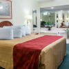 Отель Econo Lodge Alachua, фото 12