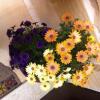 Отель Gozo Hills Bed and Breakfast, фото 18