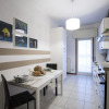 Отель Olmo Apartment, фото 9