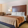 Отель Comfort Inn, фото 19
