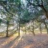 Отель Sherwood Castle Holiday Forest, фото 8