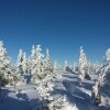 Отель Gasthof Waldschenke, фото 3