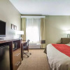 Отель Comfort Inn, фото 5