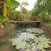 Отель Nature sprout's Bodhivann Jungle Camp, фото 12