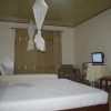 Отель Roots Inn, фото 6