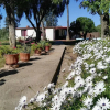 Отель Cabañas Rancho Ojeda, фото 4