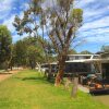 Отель Murray Bridge Caravan Park, фото 1