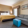 Отель Comfort Inn & Suites, фото 4