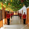 Отель Dalishu Zhuangjiayuan Hotel, фото 5