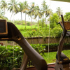 Отель The Diwa Club by Alila Diwa Goa - A Hyatt Brand, фото 14