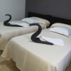 Отель Hostal Asador Julian Brunete, фото 3