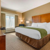 Отель Comfort Inn & Suites, фото 4