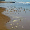 Отель Athaang Beach Resort, фото 10