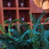 Отель Yi Chi Lian Inn, фото 1