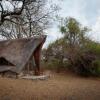 Отель Hippo Lodge, фото 41