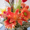 Отель Suchanan Inns and Suites, фото 13