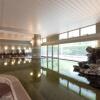 Отель Nogi Onsen Hotel, фото 13