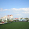 Отель Icon Residence, фото 1