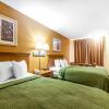 Отель Quality Inn & Suites, фото 18