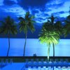 Отель Holiday Inn Suva, an IHG Hotel, фото 14