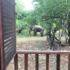 Отель Elephant Hide by Cacao, фото 26