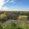 Отель Muskoka Bay Resort, фото 37