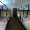 Отель Bodhi Tree Hostel, фото 15