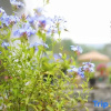 Отель Nanjing Fengjingyuan Homestay, фото 10