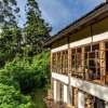 Отель Bwindi Safari Lodge, фото 3