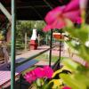 Отель Apartman Kaszás Garden, фото 8