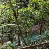 Отель Cabañas Caeli Rainforest Glass Cabin El Congo La Fortuna, фото 6