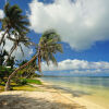 Отель Saipan Ocean View Hotel, фото 23