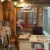Отель Bann Elephant Home - Hostel, фото 12