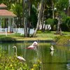 Отель Catalonia Bavaro Beach, Golf & Casino Resort - All Inclusive, фото 44