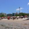 Отель Neo Maceió - Aparts à Beira-Mar em Pajuçara, фото 12