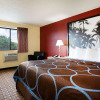 Отель Super 8 by Wyndham Chester/Richmond Area, фото 6