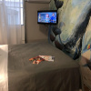 Отель Franca City Hostel, фото 17