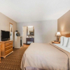 Отель Quality Inn South, фото 14