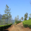 Отель Pavithram Homestay, фото 14