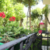Отель Bella Garden, фото 15
