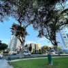 Отель Private Modern Apartment in Pardo - Miraflores, фото 29