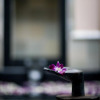 Отель Banyan Tree Resorts, фото 11